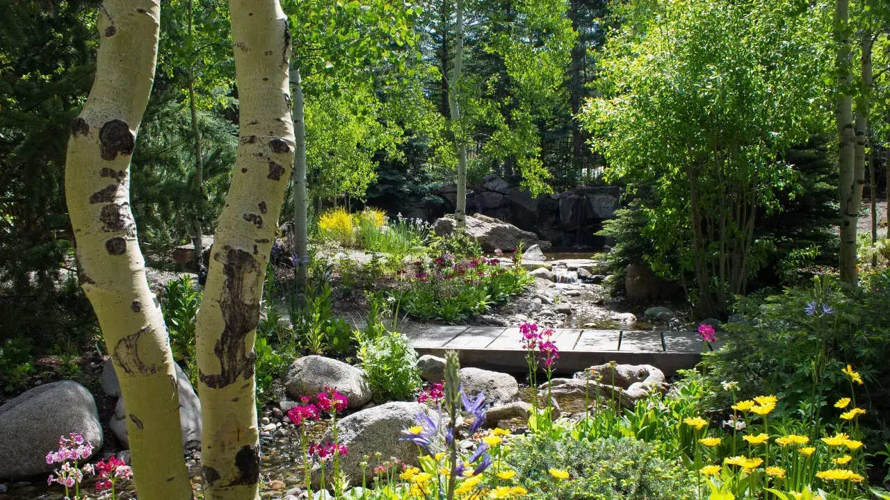 Betty Ford Alpine Gardens